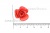 Украшение "Розы малые №1" 20мм - купить в Красноярске. Цена: 32.49 руб.