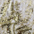 Трикотажное полотно, Сетка с пайетками, шир.130 см, #315, цв.-белый/золото - купить в Красноярске. Цена 693.39 руб.