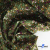 Ткань костюмная «Микровельвет велюровый принт», 220 г/м2, 97% полиэстр, 3% спандекс, ш. 150См Цв  #9 - купить в Красноярске. Цена 439.76 руб.