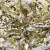 Трикотажное полотно, Сетка с пайетками, шир.130 см, #315, цв.-белый/золото - купить в Красноярске. Цена 693.39 руб.