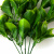 Трава искусственная -1, шт (эвкалипт лист 32 см/8 см)				 - купить в Красноярске. Цена: 169.93 руб.