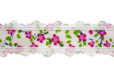 Тесьма декоративная 0385-6170, шир. 25 мм/уп. 22,8+/-1 м, цвет 02-розовый - купить в Красноярске. Цена: 364.70 руб.