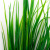 Трава искусственная -2, шт (осока 41см/8 см)				 - купить в Красноярске. Цена: 104.57 руб.