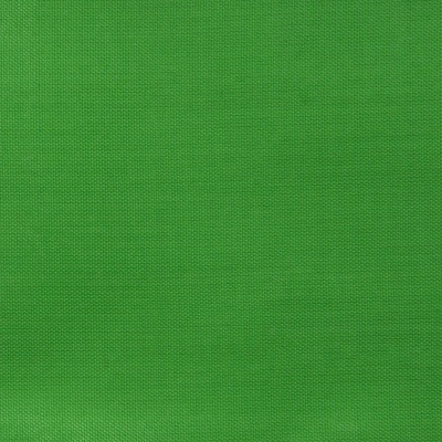 Ткань подкладочная Таффета 17-6153, 48 гр/м2, шир.150см, цвет трава - купить в Красноярске. Цена 54.64 руб.