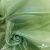 Ткань органза, 100% полиэстр, 28г/м2, шир. 150 см, цв. #27 зеленый - купить в Красноярске. Цена 86.24 руб.