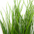 Трава искусственная -4, шт  (осока 50 см/8 см  7 листов)				 - купить в Красноярске. Цена: 130.73 руб.