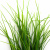 Трава искусственная -3, шт (осока 50 см/8 см  5 листов)				 - купить в Красноярске. Цена: 124.17 руб.